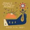 GOLD IN THE GREY - Single album lyrics, reviews, download