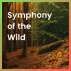 Symphony of the Wild album lyrics, reviews, download