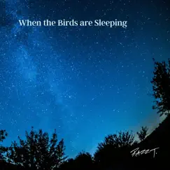 When the Birds are Sleeping Song Lyrics