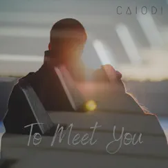 To Meet You - Single by Caiodi album reviews, ratings, credits
