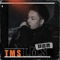 T M S - Single by 郑嘉晋 album reviews, ratings, credits