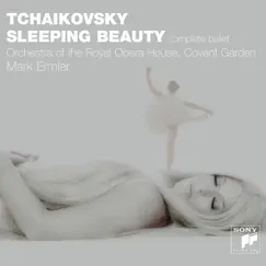 The Sleeping Beauty, Op. 66, TH 13: No. 26c L'Oiseau-bleu et la Princesse Florine Song Lyrics