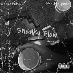 Sneaky Flow Song Lyrics
