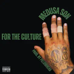 For the Culture - Single (feat. Pillowhead) - Single by Medusa Son album reviews, ratings, credits