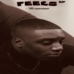 Feels (The Experience) - Single by Ca'leb Nathan & Lonz Cityy album reviews, ratings, credits