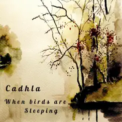 When Birds Are Sleeping by Cadhla album reviews, ratings, credits