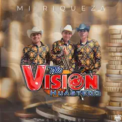 Mi Riqueza - Single by Trío Visión Huasteco album reviews, ratings, credits