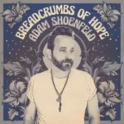 Breadcrumbs of Hope - Single by Adam Shoenfeld album reviews, ratings, credits