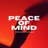 Peace of Mind (feat. Empinoah) - Single album lyrics, reviews, download