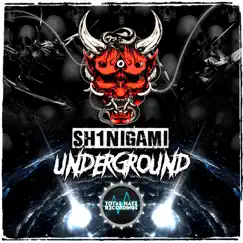 Underground - Single by Sh1nigami album reviews, ratings, credits
