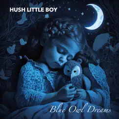 Blue Owl Dreams - Single by Hush Little Boy album reviews, ratings, credits