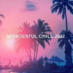 Wonderful Chill 2022 by DJ Chill Groove album reviews, ratings, credits