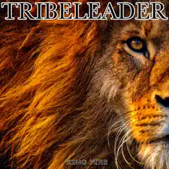 King Fire by Tribeleader album reviews, ratings, credits