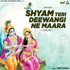 Shyam Teri Deewangi Ne Maara - Single by Amit Dhull album reviews, ratings, credits