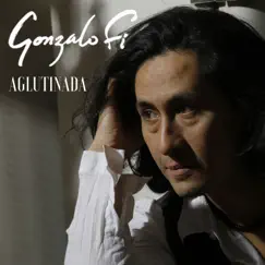 Aglutinada (Radio Edit) [feat. Vicente Fritis] - Single by Gonzalo Fi album reviews, ratings, credits