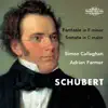 Schubert: Music for Four Hands album lyrics, reviews, download