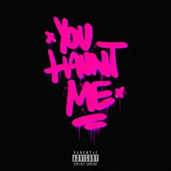 You Haunt Me - Single by Vibey album reviews, ratings, credits