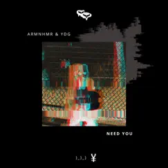 Need You - Single by ARMNHMR & YDG album reviews, ratings, credits