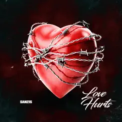 LOVE HURTS (Radio Edit) - Single by San215 album reviews, ratings, credits