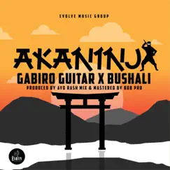 Akaninja (feat. Bushali) Song Lyrics