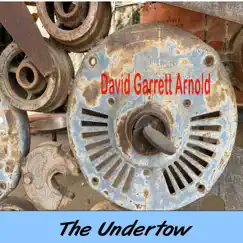 The Undertow (feat. The Donny Hammonds Band) - Single by David Garrett Arnold album reviews, ratings, credits