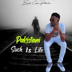 Such Is Life - Single by Pakistani album reviews, ratings, credits