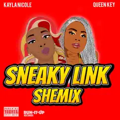 Sneaky Link Shemix Song Lyrics