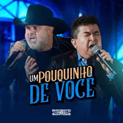 Um Pouquinho de Você (Ao Vivo) - Single by Rionegro & Solimões album reviews, ratings, credits