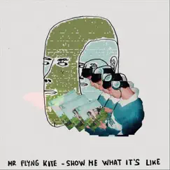 Show Me What It's Like - Single by Mr Flying Kite album reviews, ratings, credits