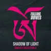 Shadow of Light (Singles Collection 2) album lyrics, reviews, download