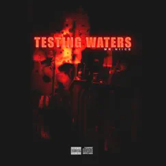 Testing Waters (feat. Fofo) - Single by Mr.Niice album reviews, ratings, credits