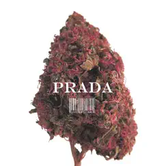 Prada - Single by Peita, S8ny, Tripdy, Rudah Zion & Bunne VL album reviews, ratings, credits
