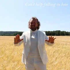 Can't Help Falling In Love Song Lyrics