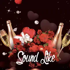 Sound Like - Single by Riug Tone album reviews, ratings, credits