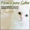 Música Para Gatos - Instrumentales Hechos Para La Ansiedad Felina album lyrics, reviews, download