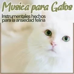 Música Para Gatos - Instrumentales Hechos Para La Ansiedad Felina by RelaxMyCat & Cat Music Dreams album reviews, ratings, credits