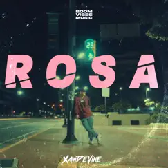 Rosa - Single by Xavi Devine & Boom Vibes Music album reviews, ratings, credits