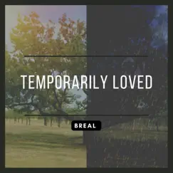 Temporarily Loved - Single by BReal album reviews, ratings, credits