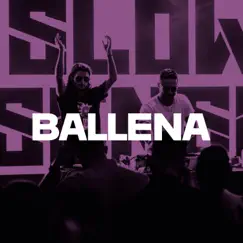 Ballena Song Lyrics