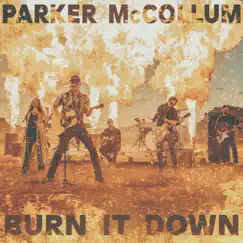 Burn It Down (Radio Edit) Song Lyrics