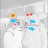 TE CIELO... - EP album lyrics, reviews, download