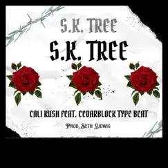 Sk Tree (Dark Trap Beat) Song Lyrics