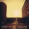 Some Bleak Horizon (Scott Gibbons Mix) - Single album lyrics, reviews, download