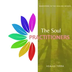 Wandering in the Healing Woods by Healed Terra album reviews, ratings, credits