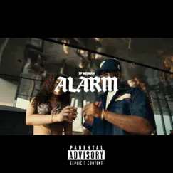 Alarm (Up) - Single by TP Neshan album reviews, ratings, credits