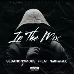 In the Mix - Single (feat. NathanaEl) - Single by SedAnonymous album reviews, ratings, credits