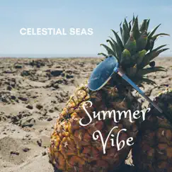 Summer Vibe - Single by Celestial Seas album reviews, ratings, credits
