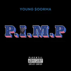 P.I.M.P (D.S.P Refix) [D.S.P Refix] - Single by Young Soorma album reviews, ratings, credits
