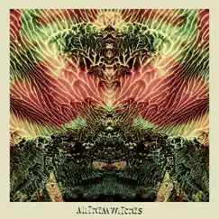 Blacksnake Blues - Single by All Them Witches album reviews, ratings, credits