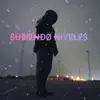 Subiendo Niveles - Single album lyrics, reviews, download